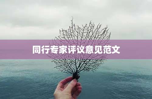 同行专家评议意见范文