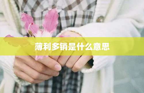 薄利多销是什么意思