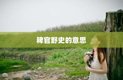 稗官野史的意思
