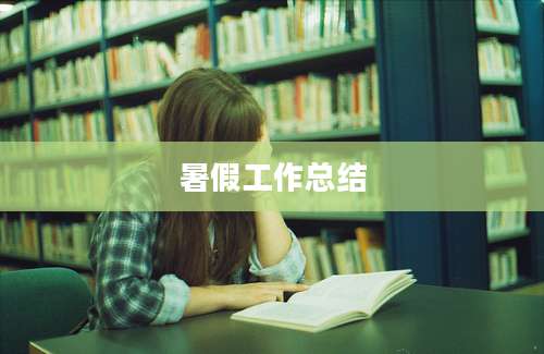 暑假工作总结