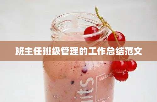 班主任班级管理的工作总结范文