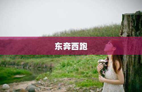 东奔西跑