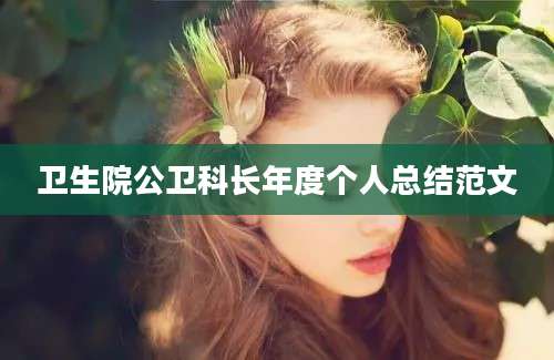 卫生院公卫科长年度个人总结范文