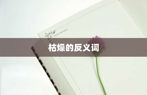 枯燥的反义词