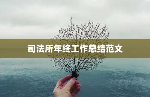 司法所年终工作总结范文