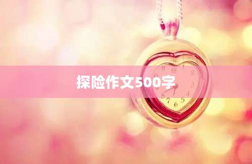 探险作文500字