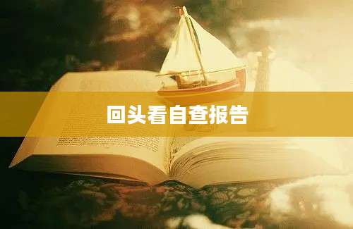 回头看自查报告