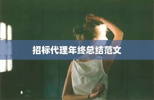招标代理年终总结范文