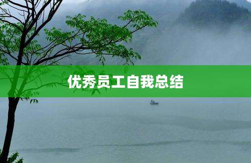 优秀员工自我总结