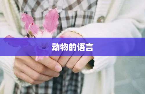 动物的语言