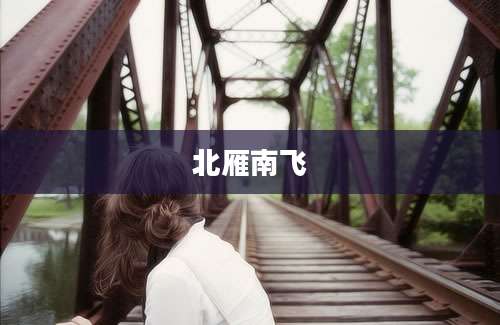 北雁南飞