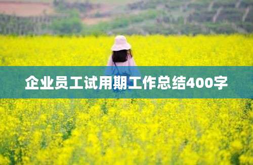 企业员工试用期工作总结400字