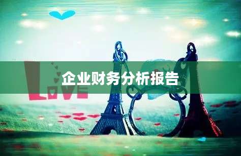 企业财务分析报告