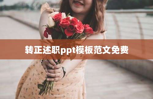 转正述职ppt模板范文免费