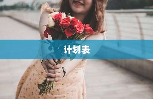 计划表