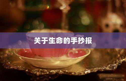关于生命的手抄报