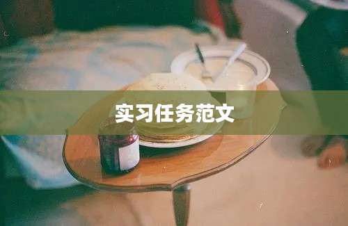 实习任务范文