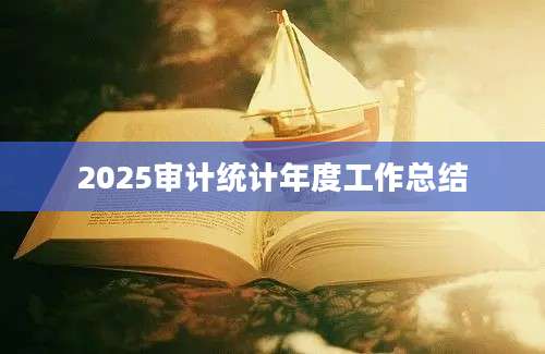 2025审计统计年度工作总结
