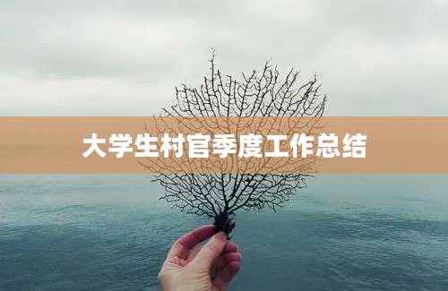 大学生村官季度工作总结