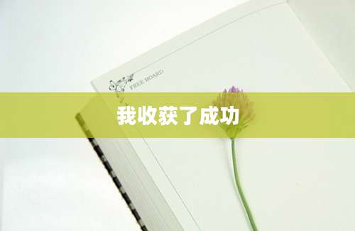 我收获了成功
