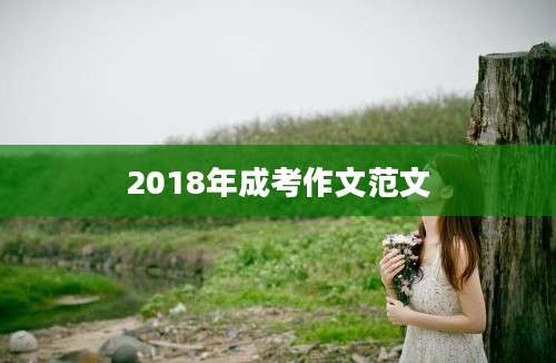 2018年成考作文范文