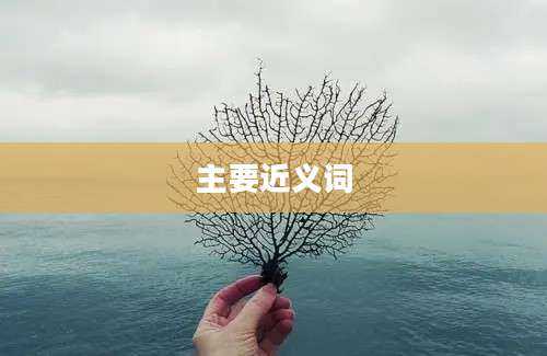 主要近义词