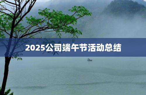 2025公司端午节活动总结