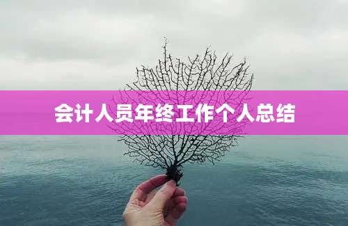 会计人员年终工作个人总结