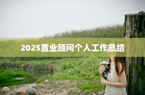 2025置业顾问个人工作总结