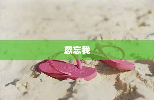 忽忘我