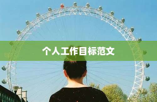个人工作目标范文