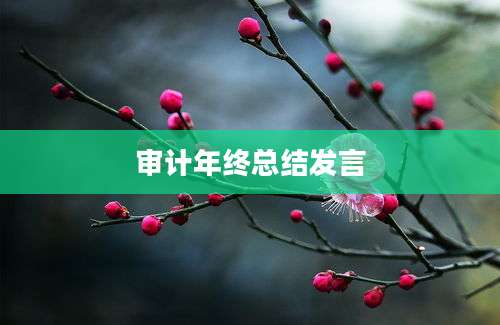 审计年终总结发言