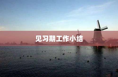 见习期工作小结