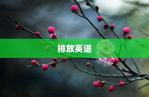排放英语
