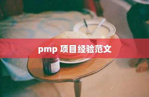 pmp 项目经验范文