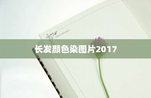 长发颜色染图片2017