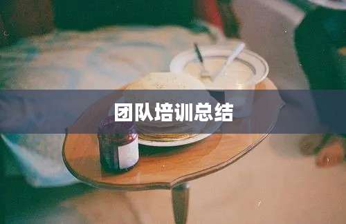 团队培训总结