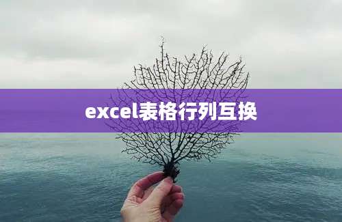 excel表格行列互换