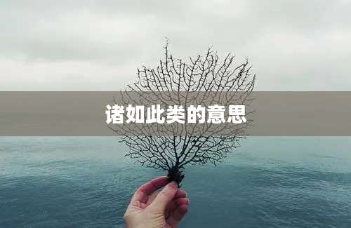 诸如此类的意思