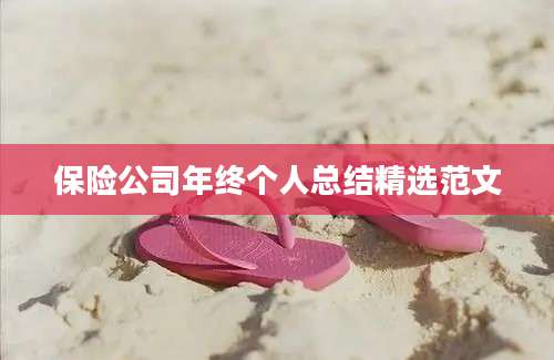 保险公司年终个人总结精选范文