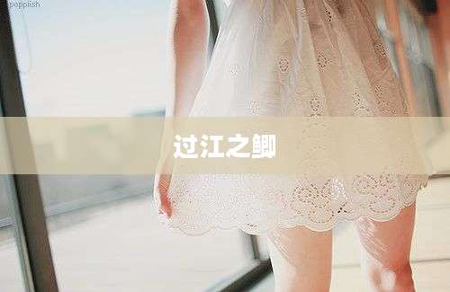 过江之鲫