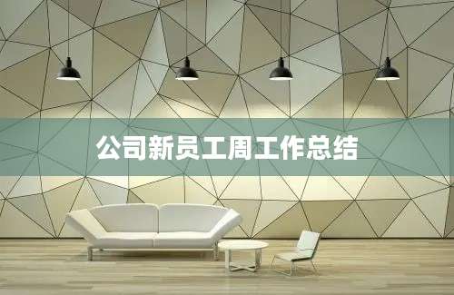 公司新员工周工作总结