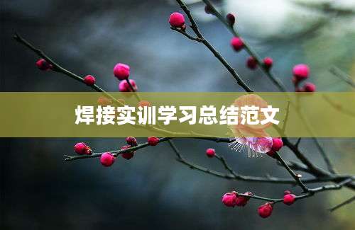 焊接实训学习总结范文