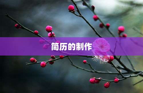 简历的制作