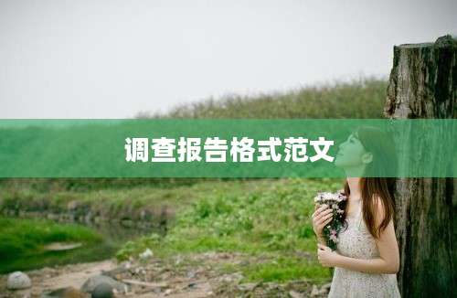 调查报告格式范文
