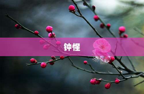 钟惺
