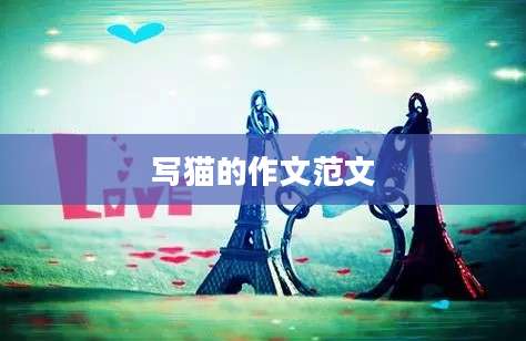 写猫的作文范文