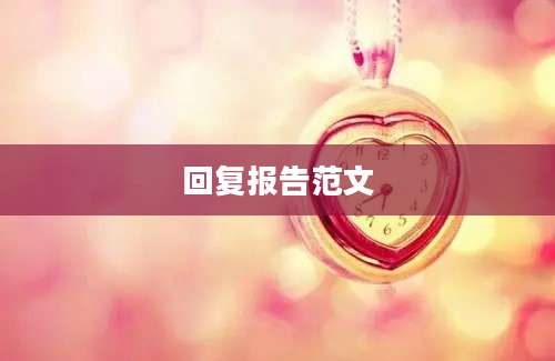 回复报告范文