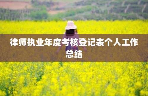 律师执业年度考核登记表个人工作总结