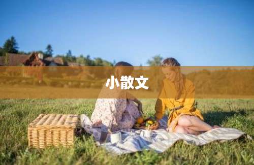 小散文